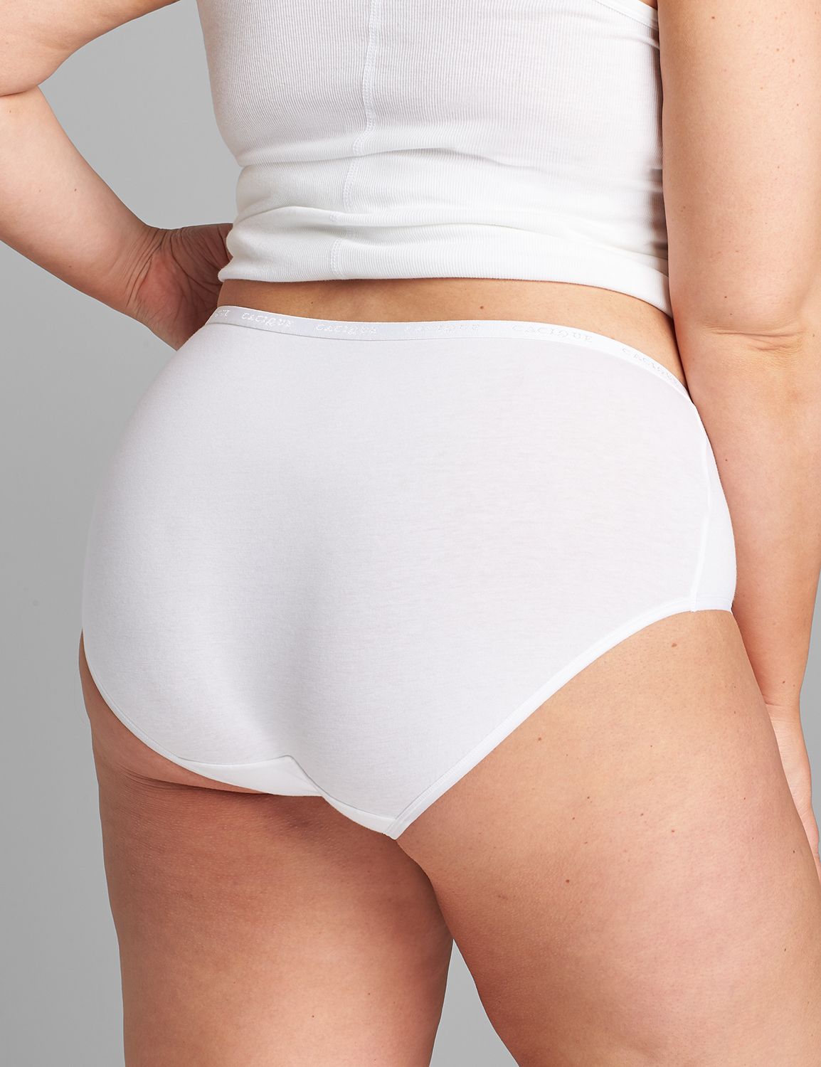 Lane Bryant Cotton Hipster Panty / Bright White