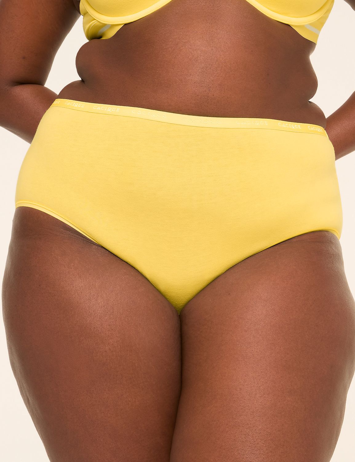 Cotton High-Leg Brief Panty