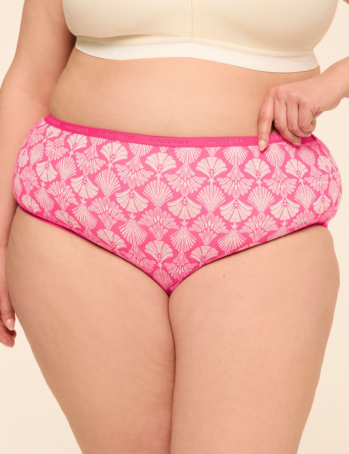 Cotton High-Leg Brief Panty